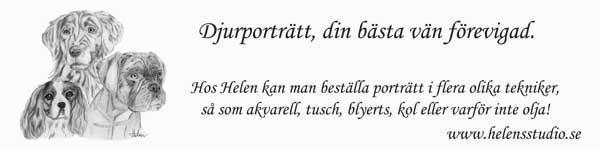 Logga med blyertsteckning, information