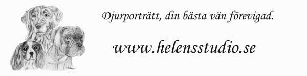 Logga med blyertsteckning