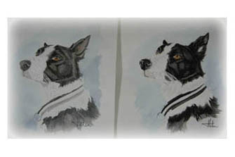 J&auml;mf&ouml;r en akvarell med en blandteknik tusch akvarell och se hur mycket svartade tonen blir...