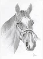 K&auml;nner du den h&auml;r h&auml;sten? Var p&aring; djursjukhuset i april eller maj pga en pinne i benet!