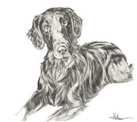 Hilda grafit 20x30 cm