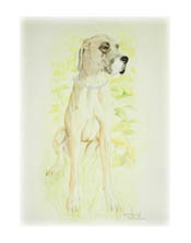 Inka f&ouml;r  k&auml;rlek, gl&auml;dje och dr&ouml;mmar...