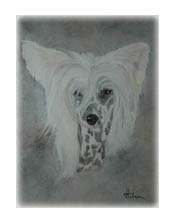 Loppan, chinese chrested, m&aring;lad i olja p&aring; duk 31x41