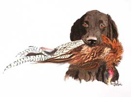 Olle med fasanakvarell 40x60, pris: 1200kr