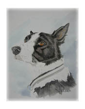 Somollis Scott akvarell 40x50