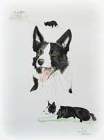 cott temaportr&auml;tt 50x62