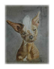 Texas, chinese chrested, m&aring;lad i olja p&aring; duk 31x41