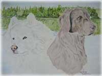 wodoo & birk i akvarell